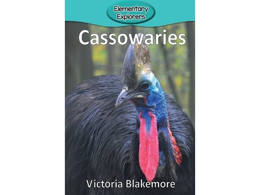 Cassowaries