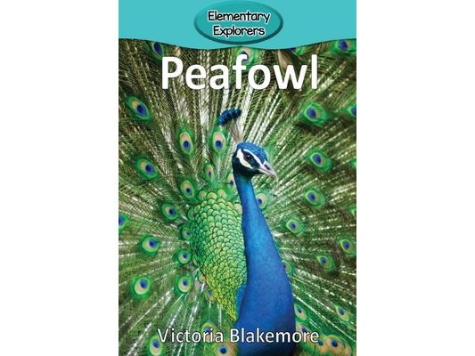 Peafowl