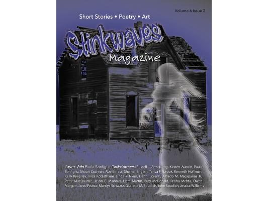 Stinkwaves Magazine: Volume 6 Issue 2