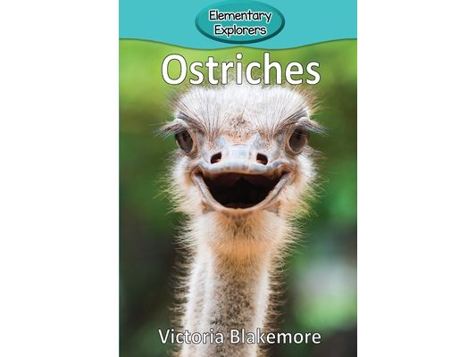 Ostriches