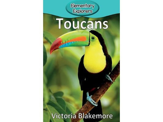 Toucans