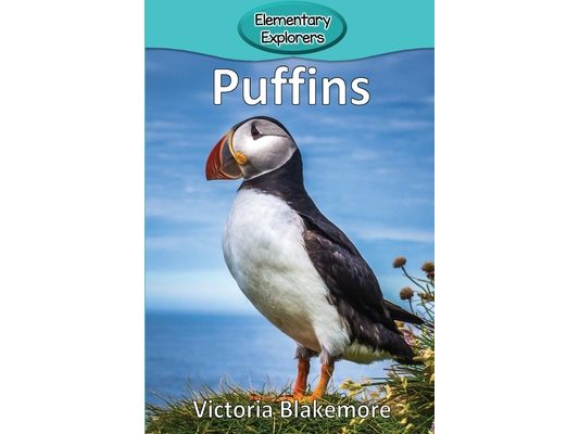 Puffins