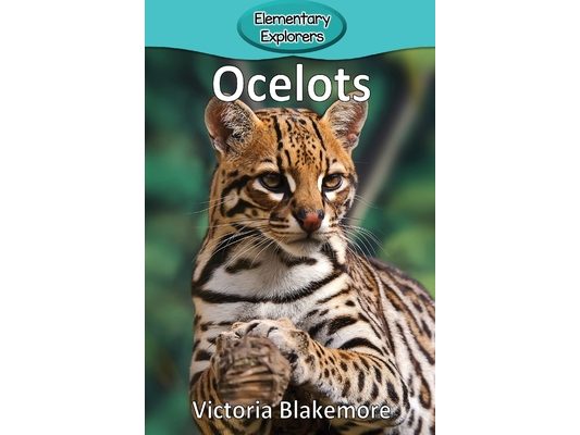 Ocelots