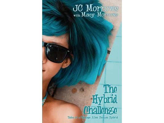 The Hybrid Challenge