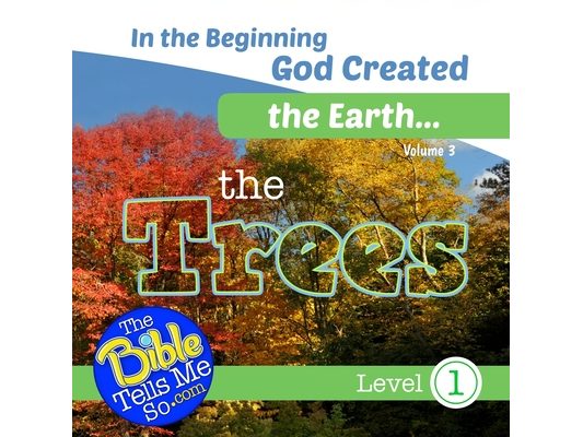 In the Beginning God Created the Earth - the Trees