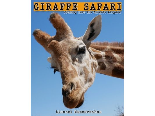 Giraffe Safari: Journey into the Giraffe Kingdom