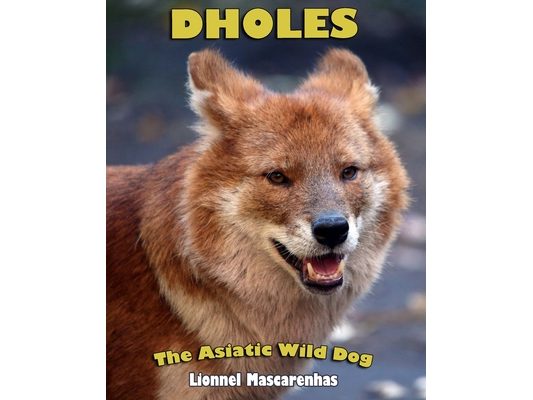Dholes: The Asiatic Wild Dog