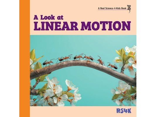 A Look at Linear Motion