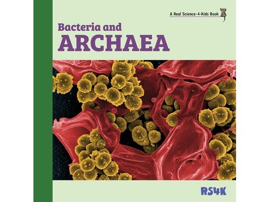 Bacteria and Archaea