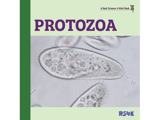 Protozoa