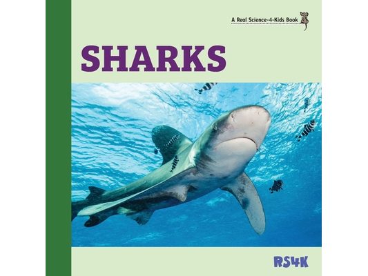 Sharks