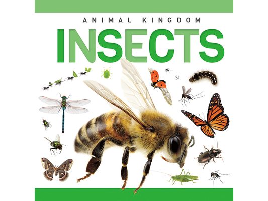 Insects