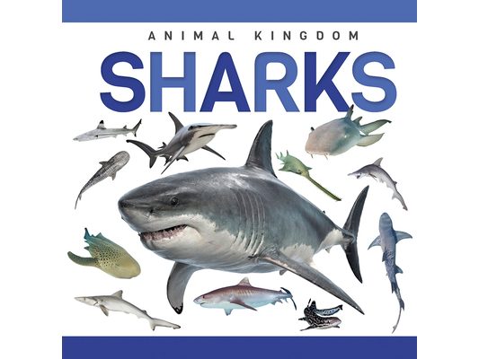 Sharks