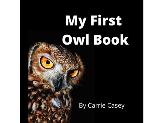 My First Owl Book