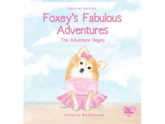 Foxey's Fabulous Adventures: The Adventure Begins