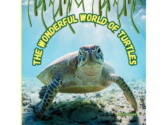 The Wonderful World of Turtles: Interesting Facts About Turtles