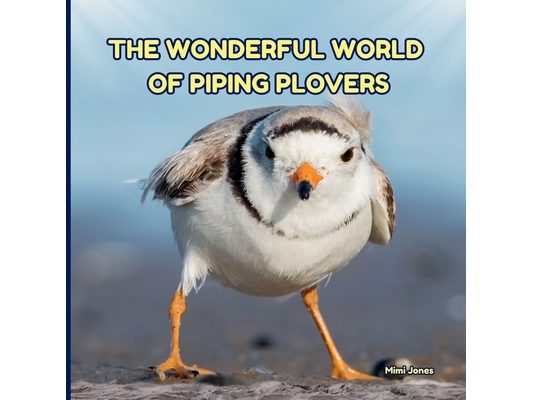The Wonderful World of Piping Plovers: Interesting Facts About Piping Plovers