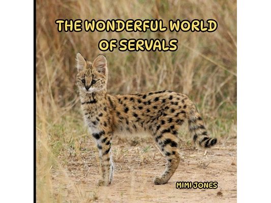 The Wonderful World of Servals: Interesting Facts About Servals