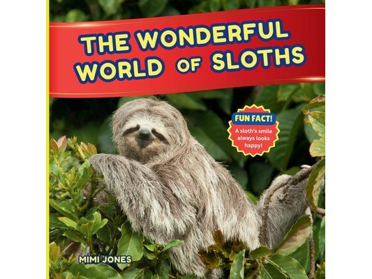 The Wonderful World of Sloths: Interesting Facts About Sloths