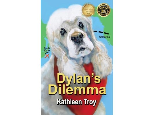 Dylan's Dilemma
