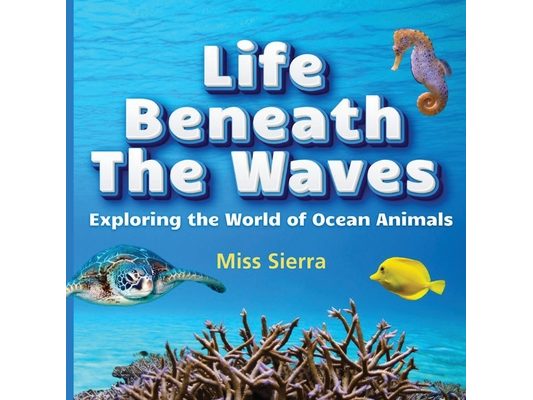 Life Beneath the Waves: Exploring the World of Ocean Animals