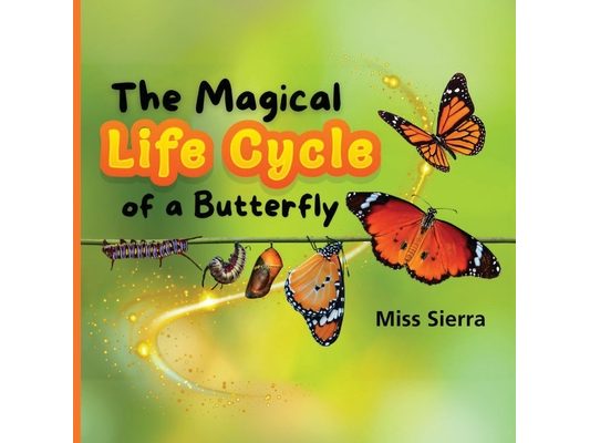 The Magical Life Cycle of a Butterfly