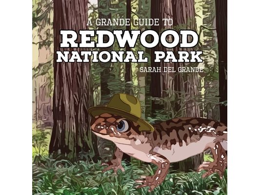 Redwood National Park: A Grande Guide