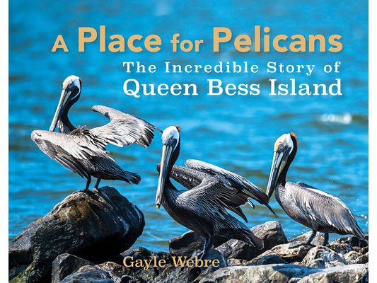 A Place for Pelicans: The Incredible Story of Queen Bess Island