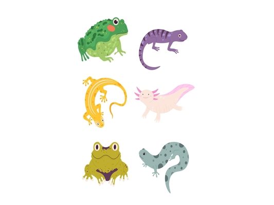 Self-awareness & Gratitude Journal for Children (Reptiles)