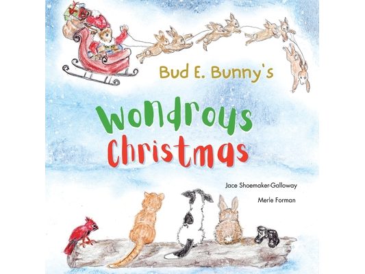 Bud E. Bunny's Wondrous Christmas