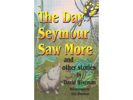 The Day Seymour Saw More and Other Stories