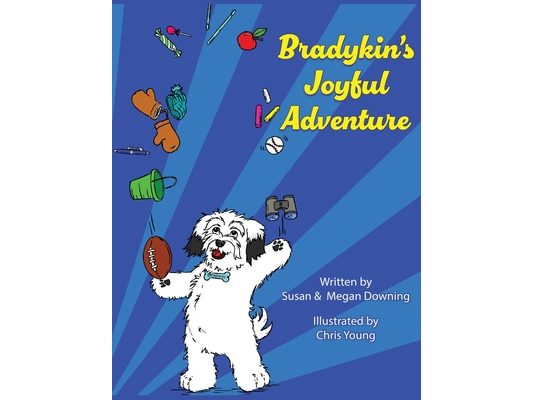 Bradykin's Joyful Adventure