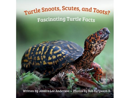 Turtle Snoots, Scutes, and Toots? Fascinating Turtle Facts