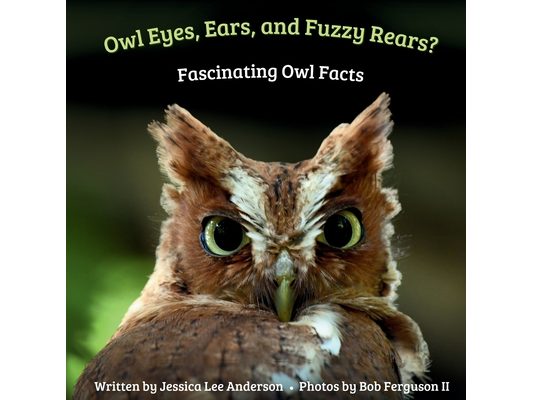 Owl Eyes, Ears, and Fluffy Rears?: Fascinating Owl Facts