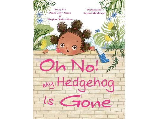 Oh No! My Hedgehog is Gone
