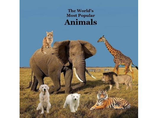 The World's Most Popular Animals Children's Book: Great Book for Kids About the Animals of the World