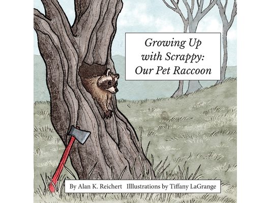 Growing up with Scrappy Our Pet Raccoon