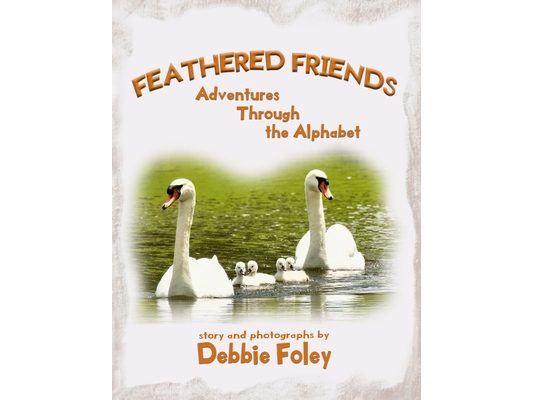 Feathered Friends: Adventures Through the Alphabet
