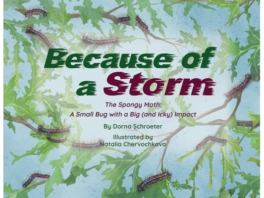Because of a Storm: The Spongy Moth A Small Bug with a Big (and Icky) Impact