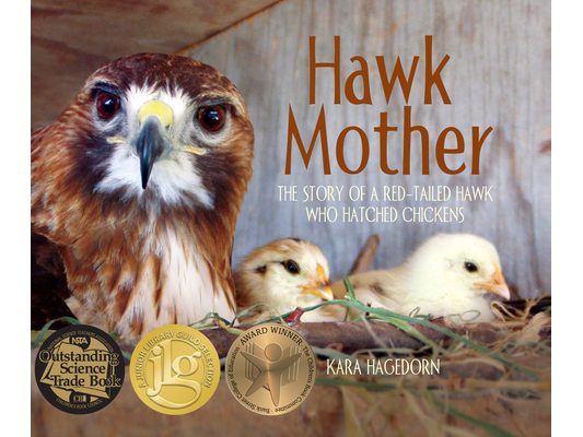 Hawk Mother: The Story of a Red-Tailed Hawk Who Hatched Chickens