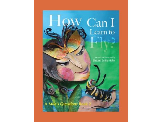 How Can I Learn To Fly