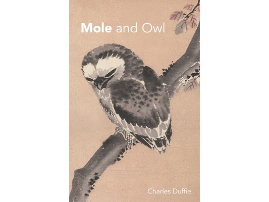Mole and Owl: An Adventure Story of Courage, Friendship, and Love