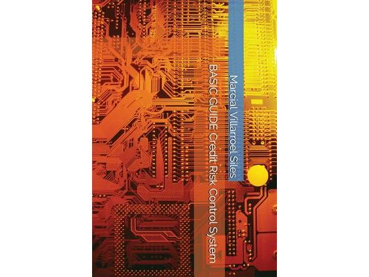 Basic Guide Credit Risk Control System