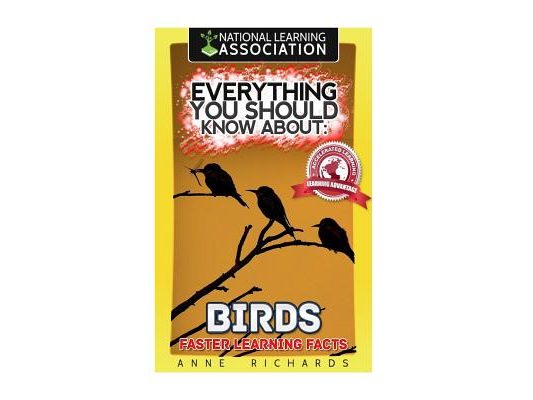 Everything You Should Know About: Birds