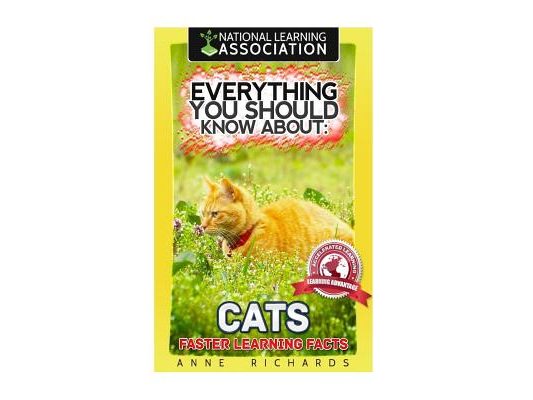 Everything You Should Know About: Cats