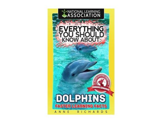 Everything You Should Know About: Dolphins