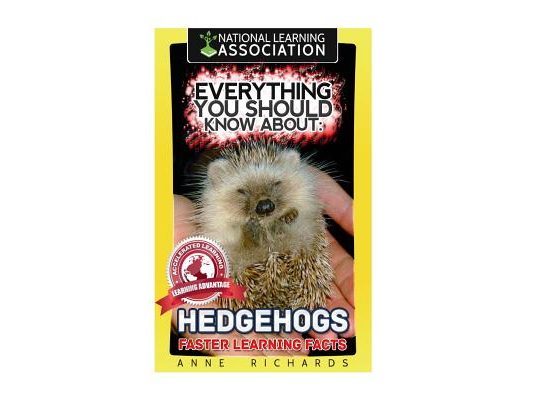 Everything You Should Know About: Hedgehogs