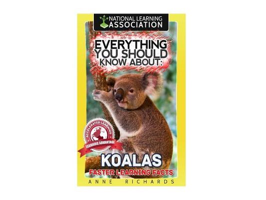 Everything You Should Know About: Koalas
