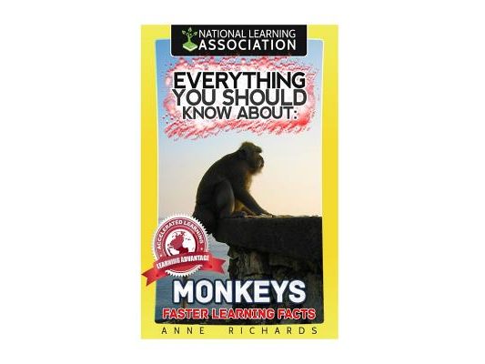 Everything You Should Know About: Monkeys