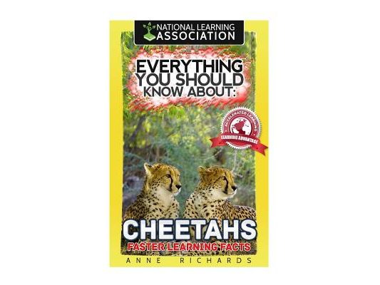 Everything You Should Know About: Cheetahs